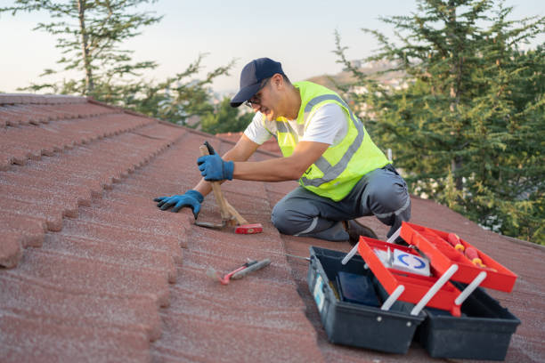 Best Roof Gutter Cleaning  in India Hook, SC